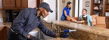 Real Estate Pest Inspections in Senatobia, MS